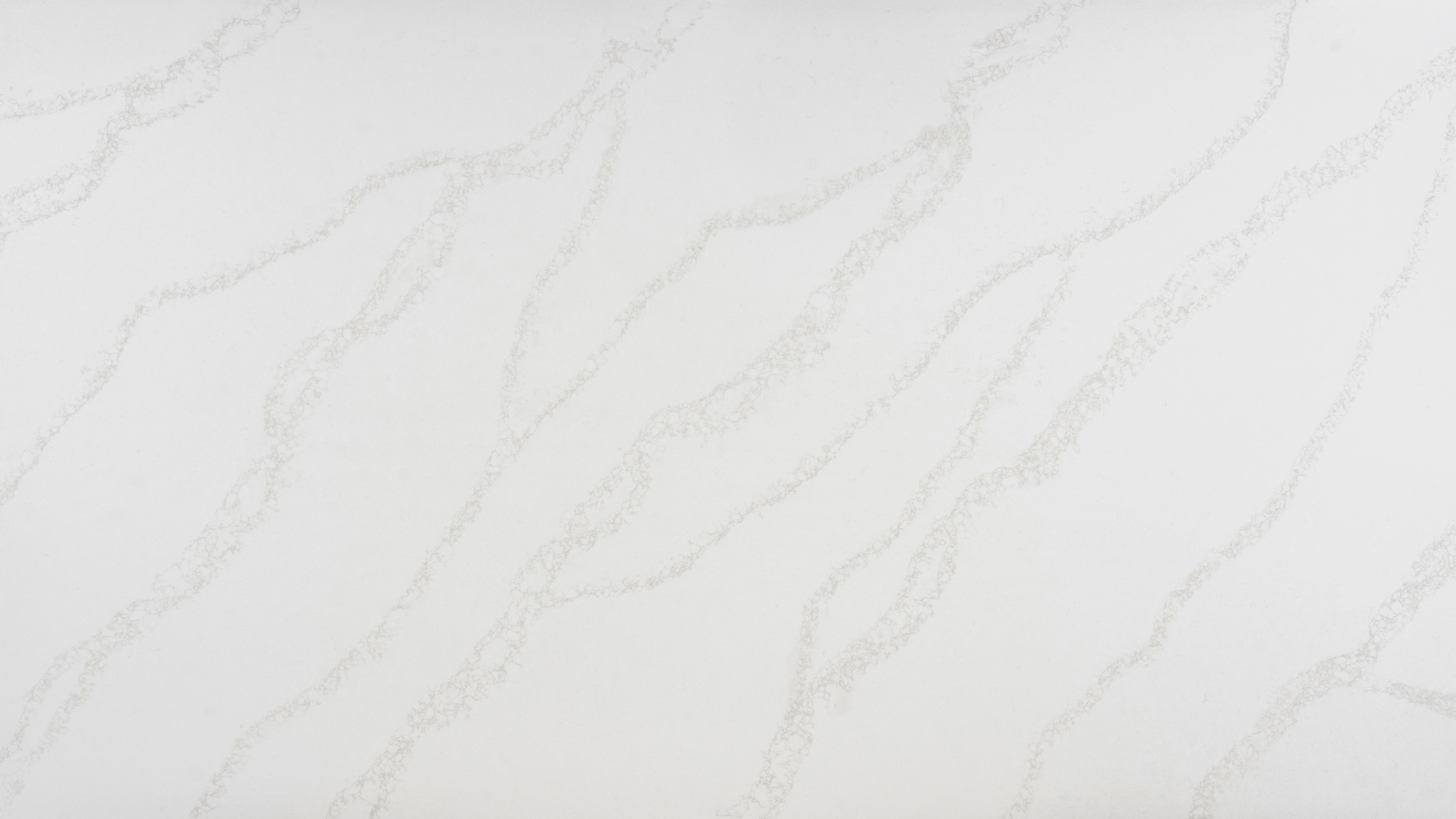CALACATTA ALPS Quartz Countertops